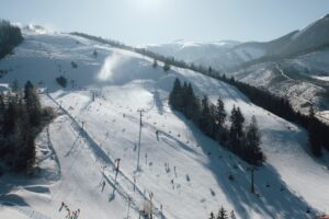 Vrátna